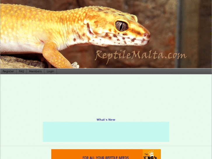 www.reptilemalta.com