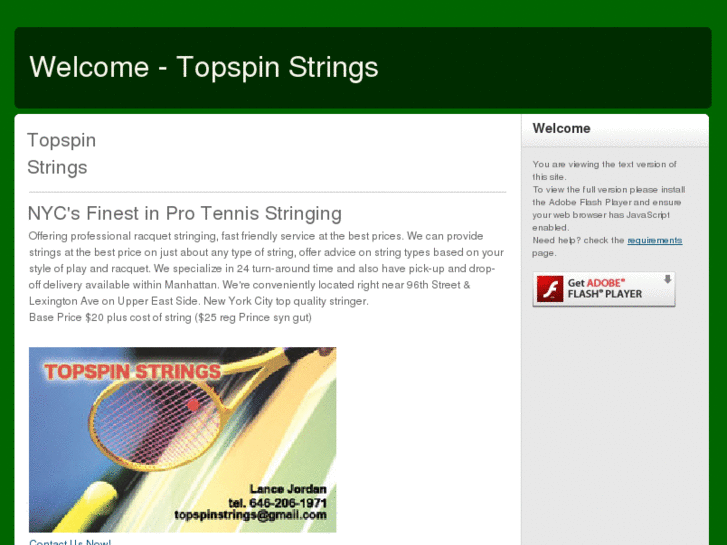 www.topspinstrings.com