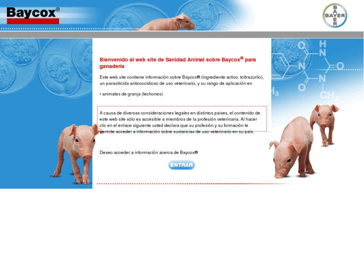 www.baycox.es