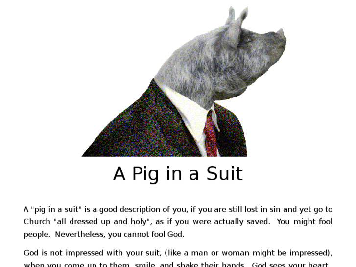 www.piginasuit.com