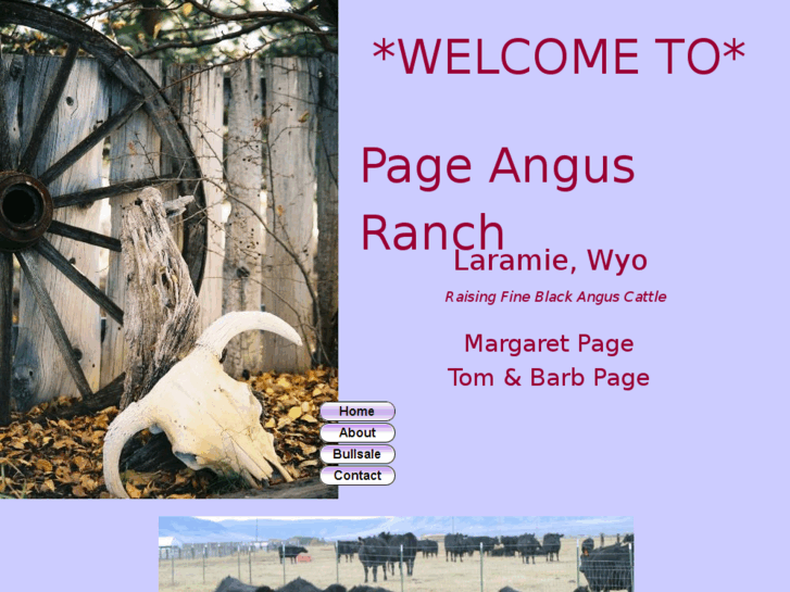 www.pageangusranch.com