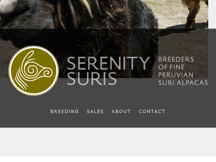 www.serenitysuris.com
