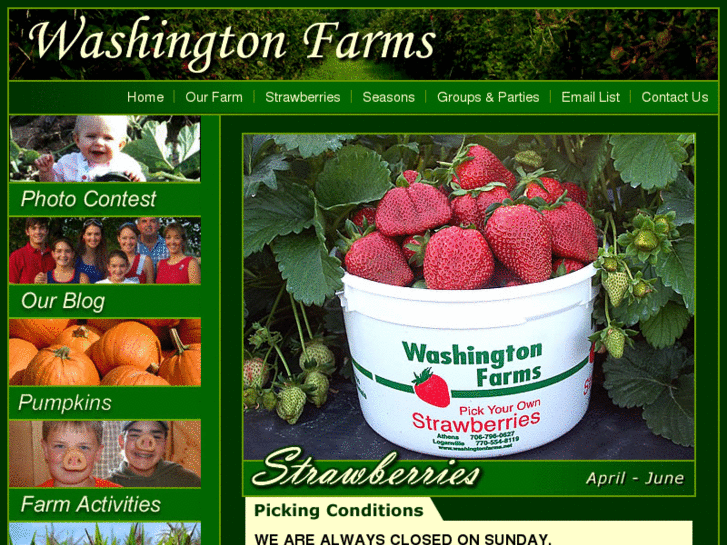 www.washingtonfarms.net
