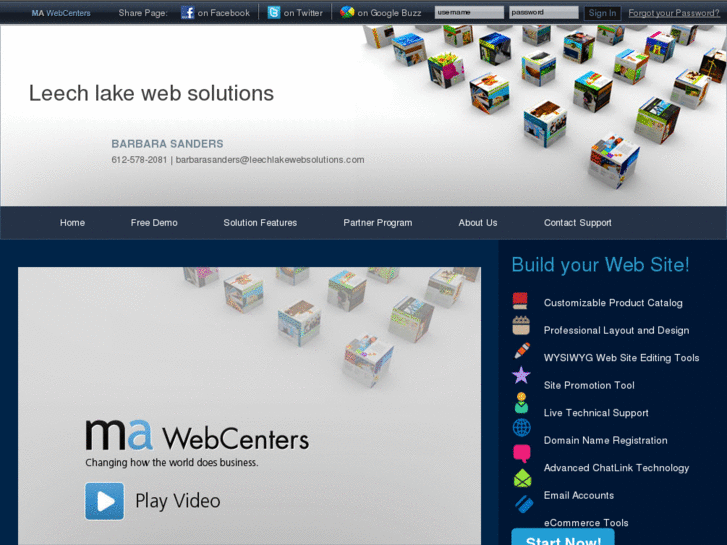 www.leechlakewebsolutions.com
