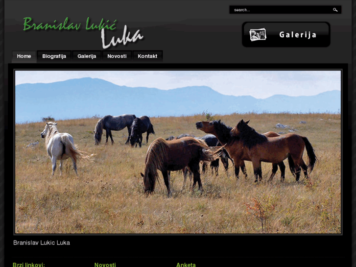 www.branislavlukicluka.info