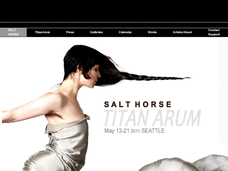 www.salthorseperformance.com