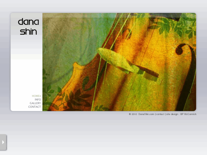 www.danashin.com