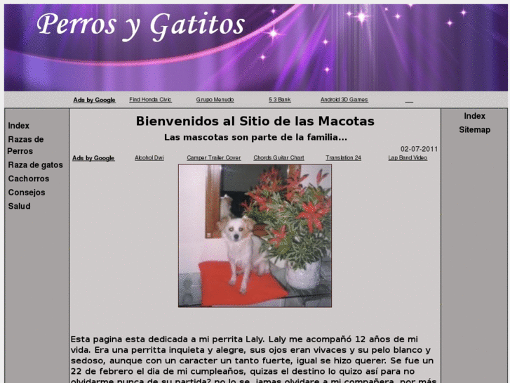 www.perrosygatitos.com.ar