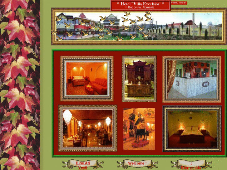 www.hotelvillaexcelsior.com