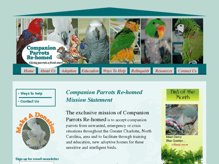 www.companionparrotsre-homed.org