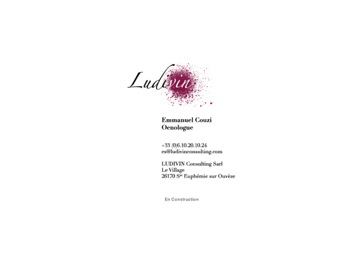 www.ludivinconsulting.com