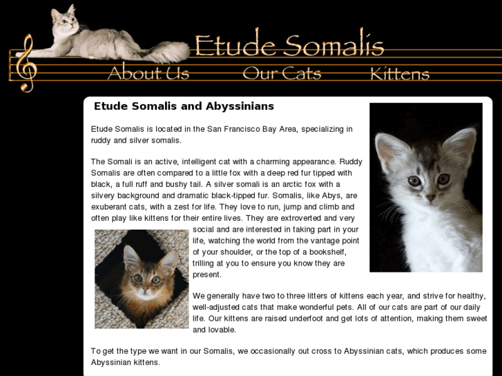 www.etudesomalis.com