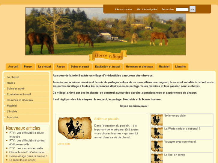 www.horse-village.com