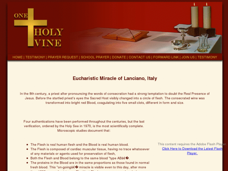 www.oneholyvine.com