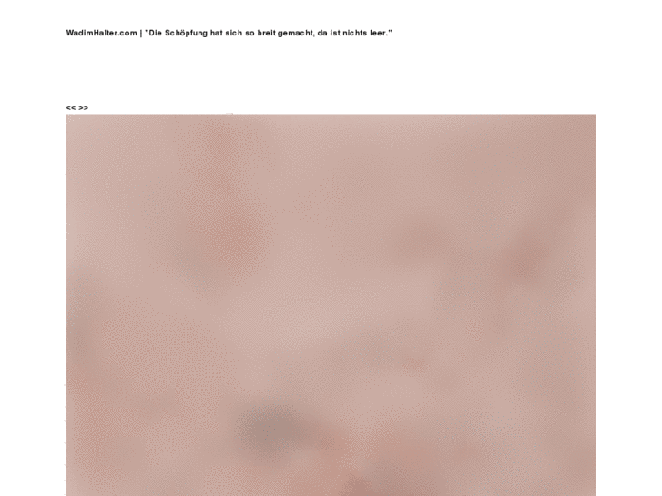 www.wadimhalter.com