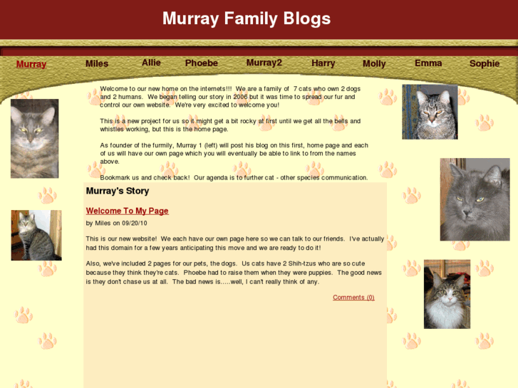 www.murraycat.com