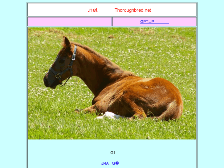 www.xn--vck2as4c4eta.net