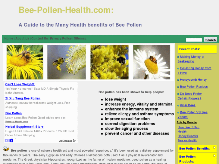 www.bee-pollen-health.com