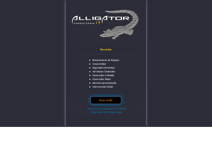 www.alligatorit.com