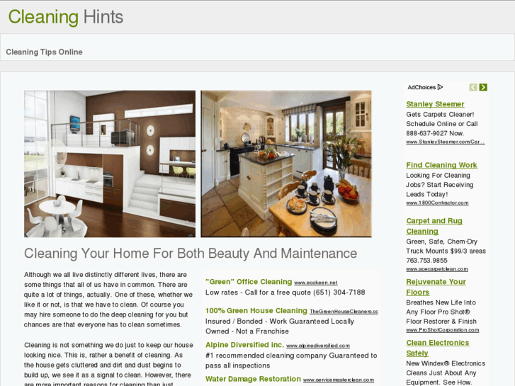 www.cleaninghints.net