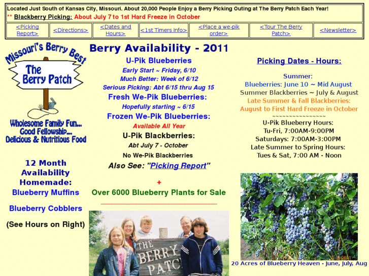 www.theberrypatchonline.com