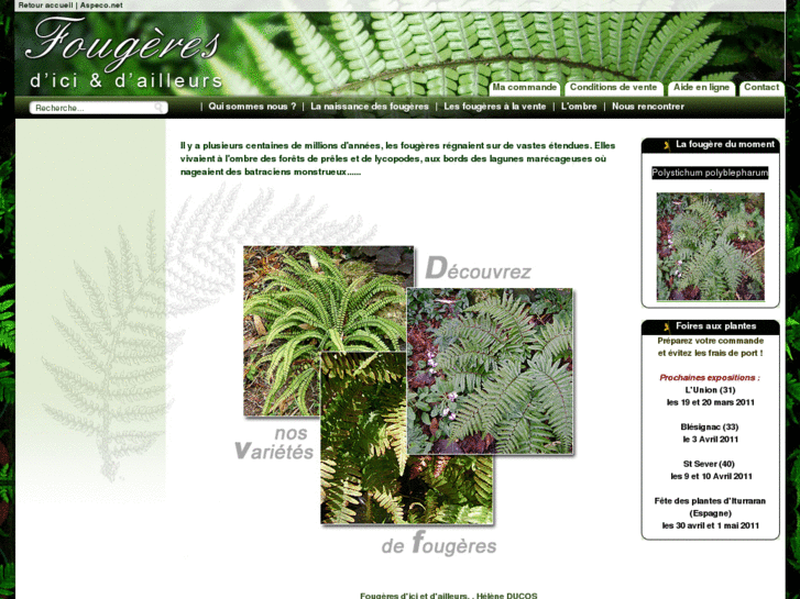 www.fougeresdicietdailleurs.com