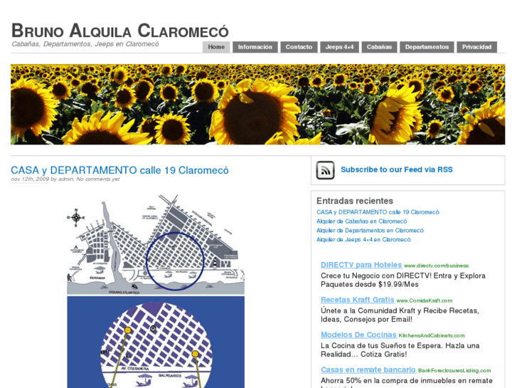 www.brunoalquila.com
