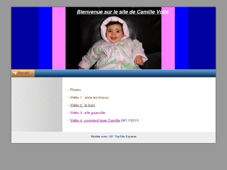 www.camillevolle.com