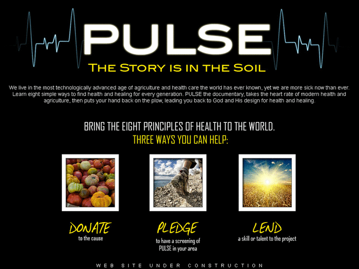 www.pulsefilm.org