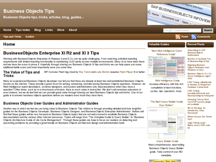 www.businessobjectstips.com