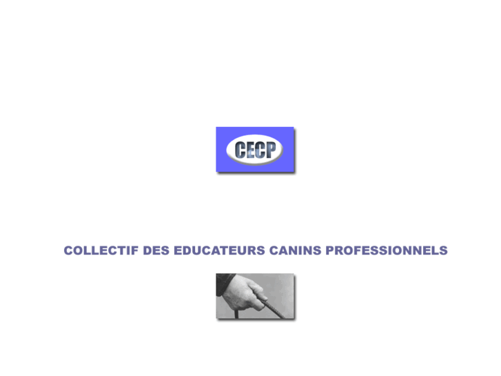 www.cecp.org