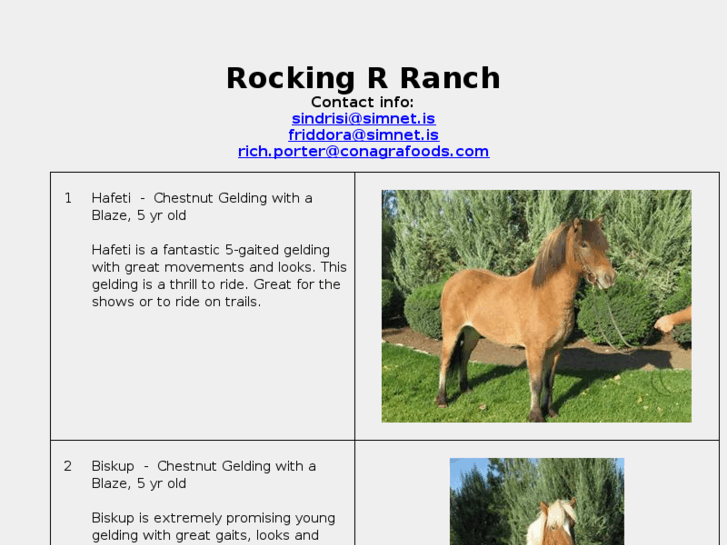 www.rrricelandichorses.com