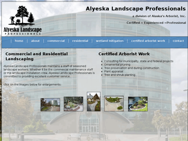www.alaskacertifiedarborist.com
