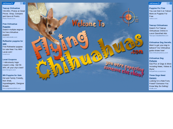 www.flyingchihuahuas.com