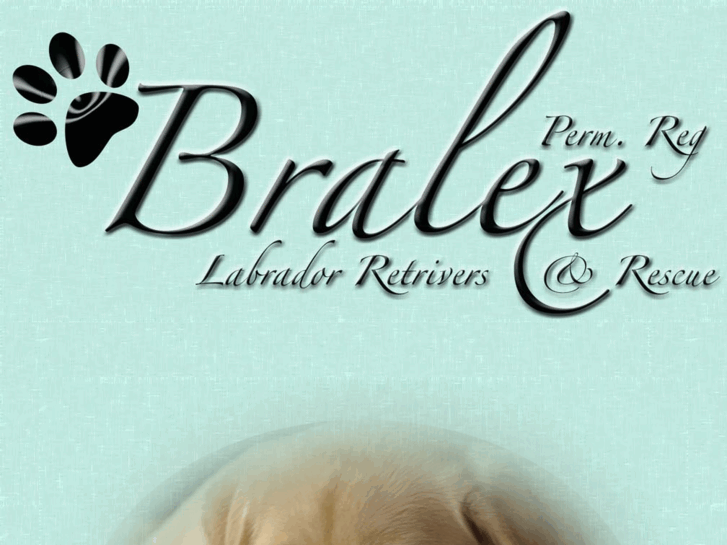 www.bralexlabradors.ca