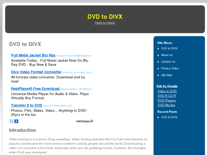 www.dvdtodivx.org