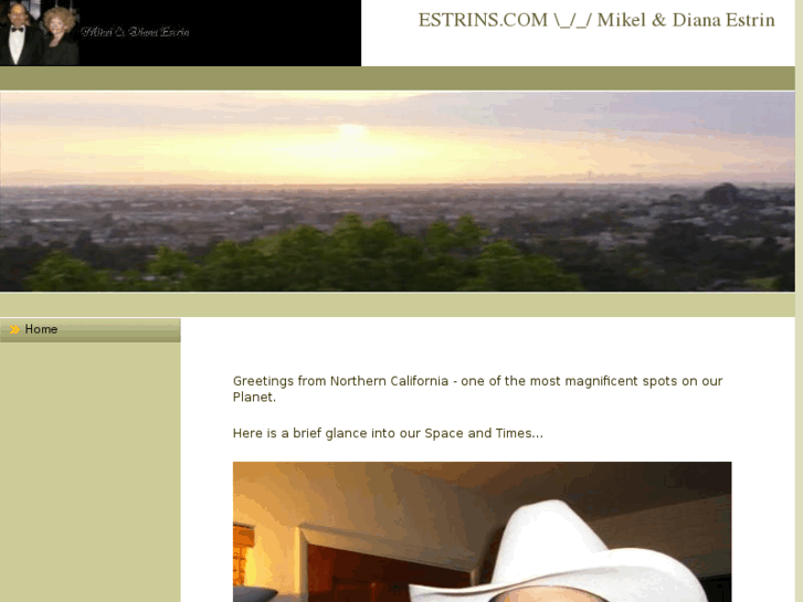 www.dianaestrin.com