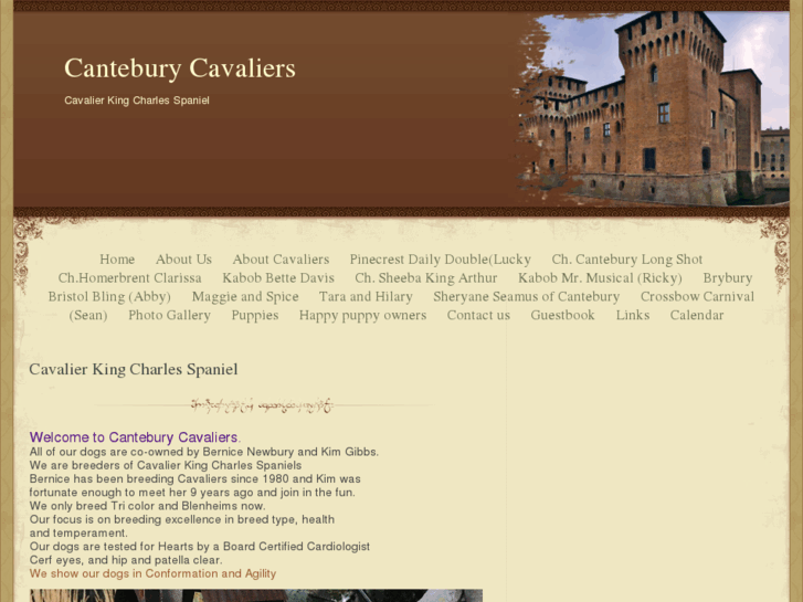 www.canteburycavaliers.com