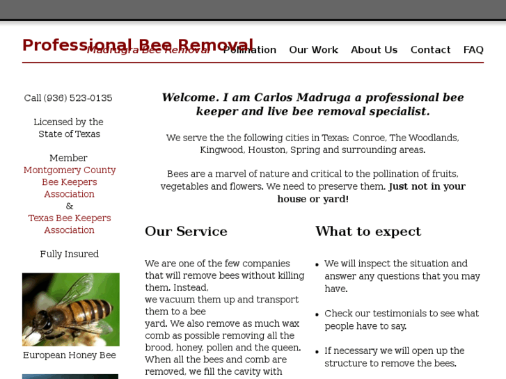 www.honeybeeremoval.info