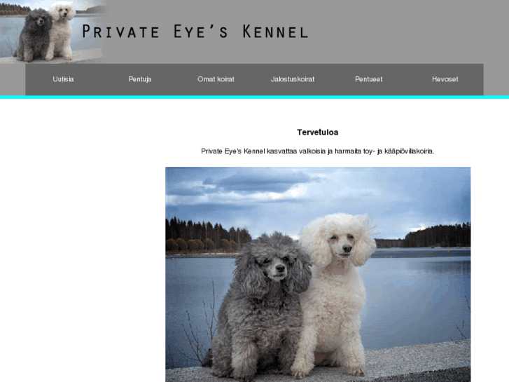www.privateeyeskennel.com
