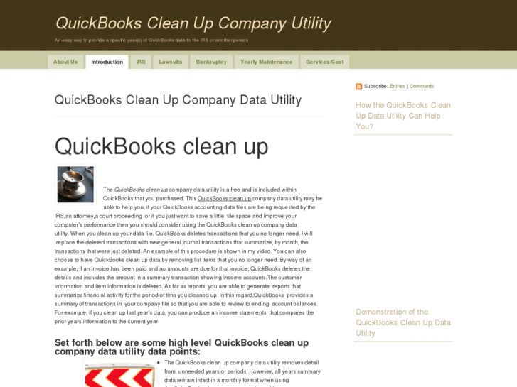 www.quickbooks-cleanup.com
