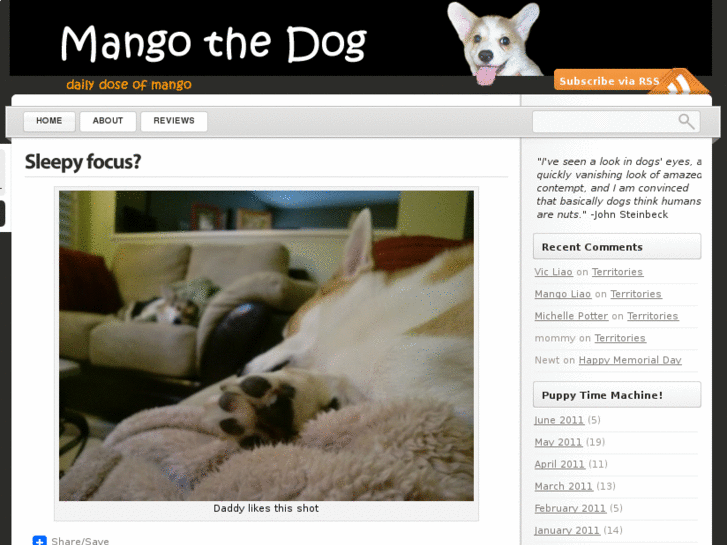 www.mangothedog.com