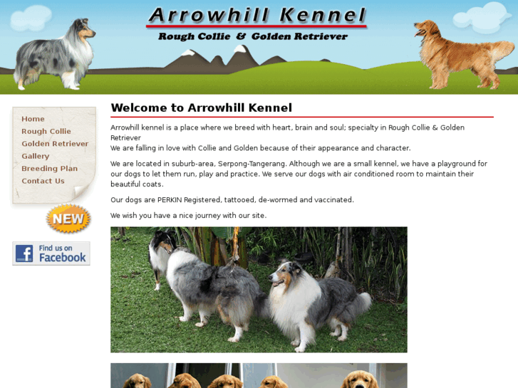 www.arrowhillkennel.com