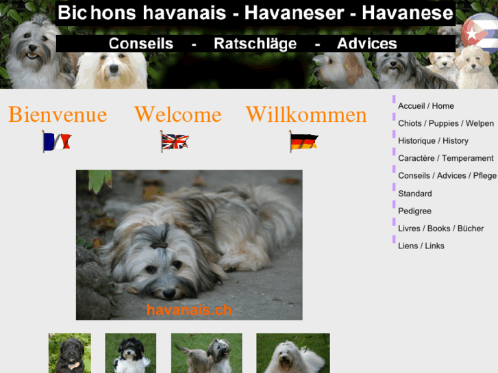 www.havanais.ch