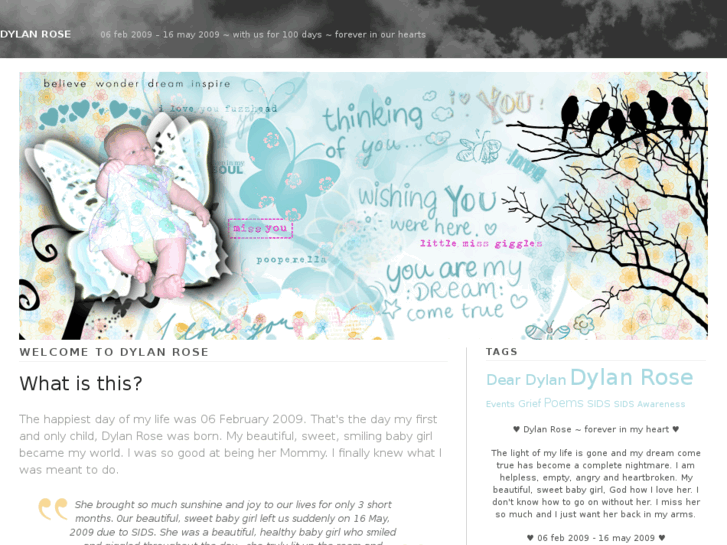 www.dylanrose.org