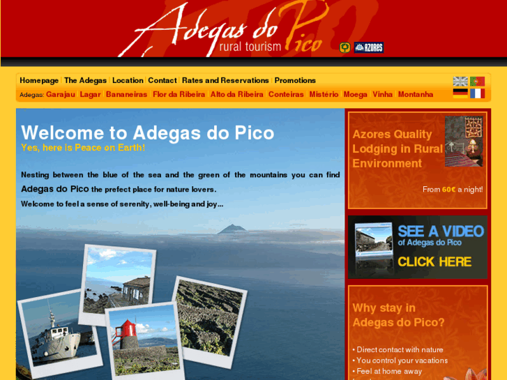 www.adegasdopico.com