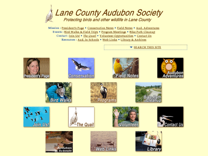 www.laneaudubon.org