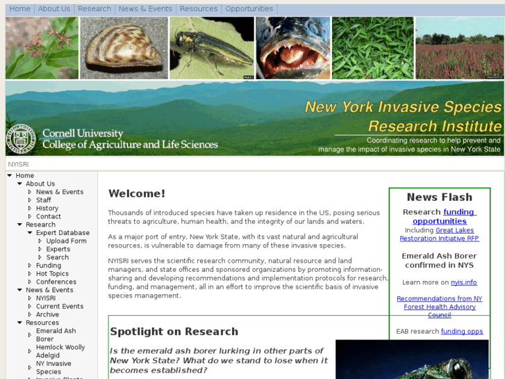 www.nyisri.org