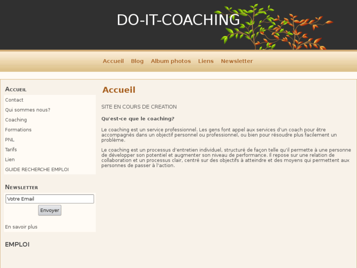 www.do-it-coaching.com