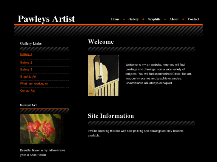 www.pawleysartist.com